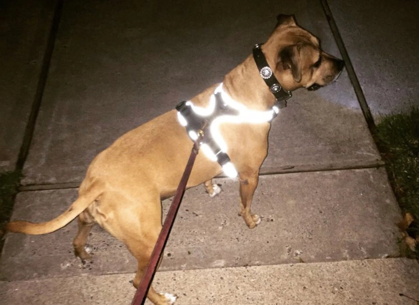 LED Headlight Harness