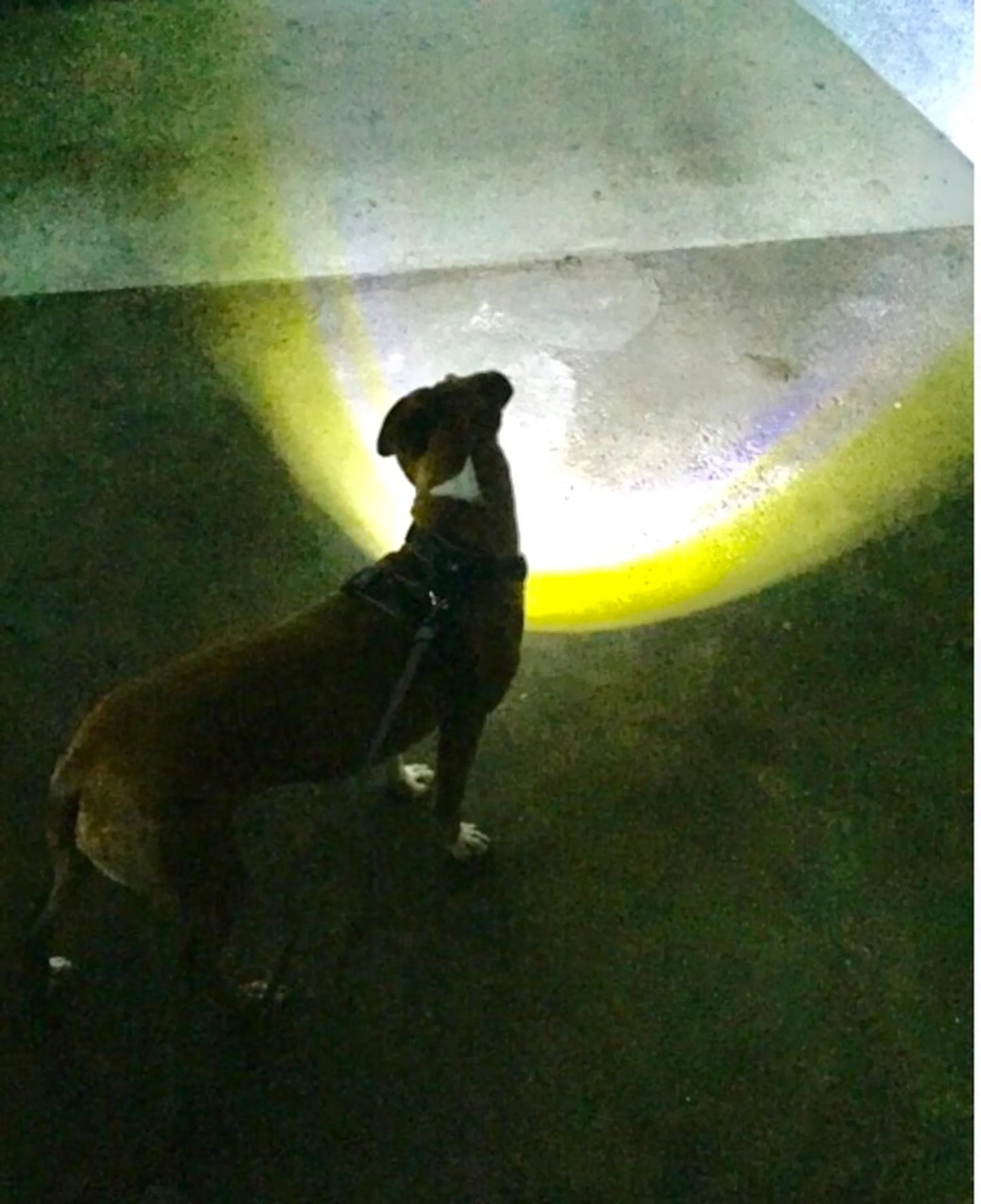 LED Headlight Harness