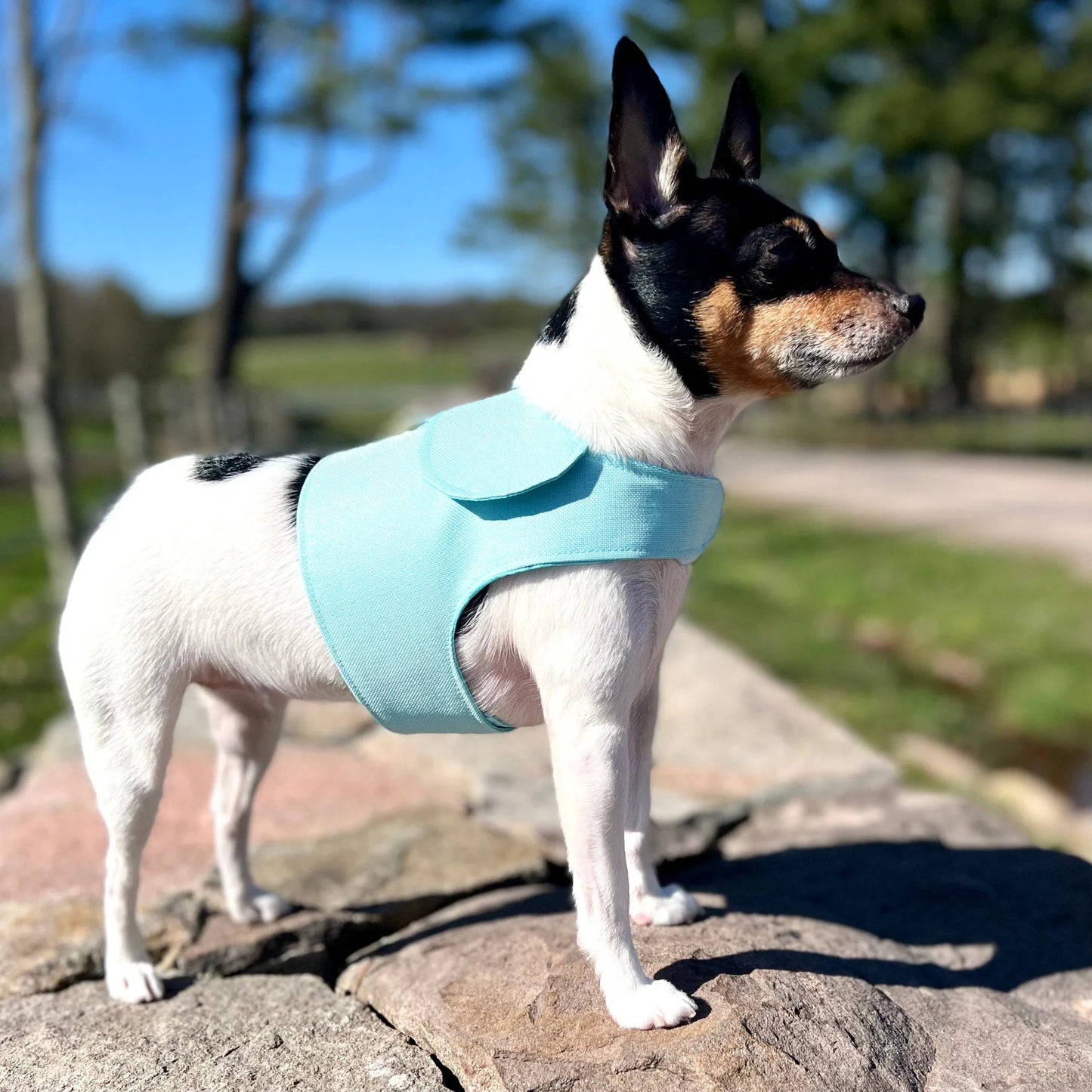 Harness Vest