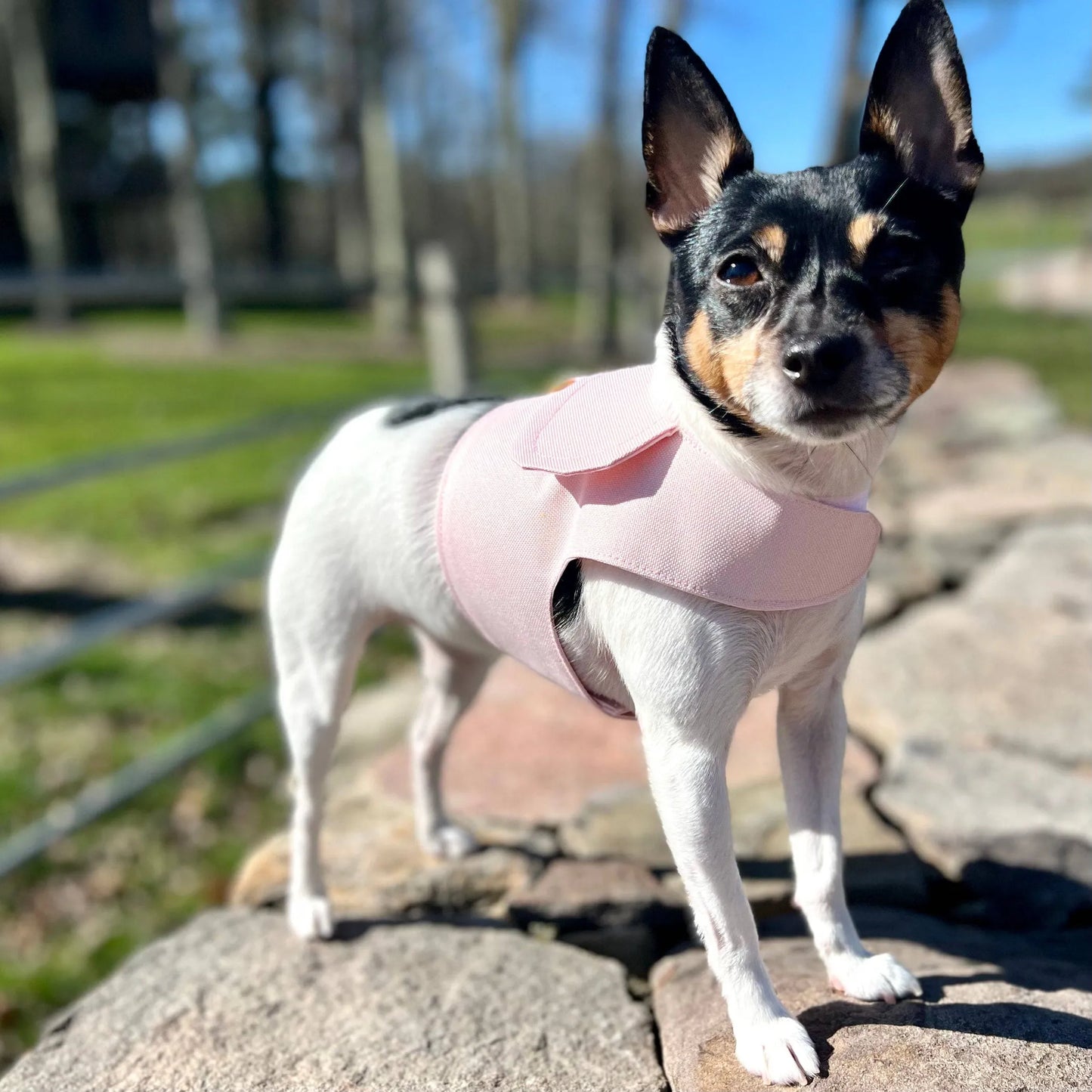 Harness Vest