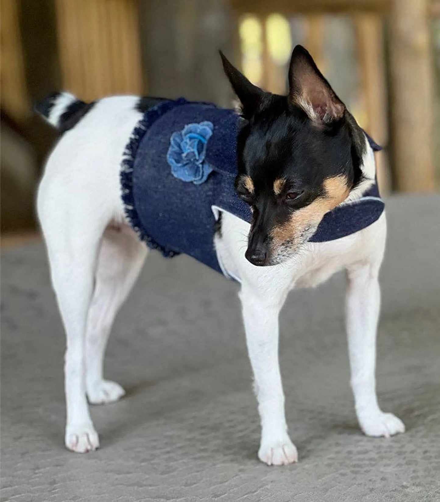 Harness Vest
