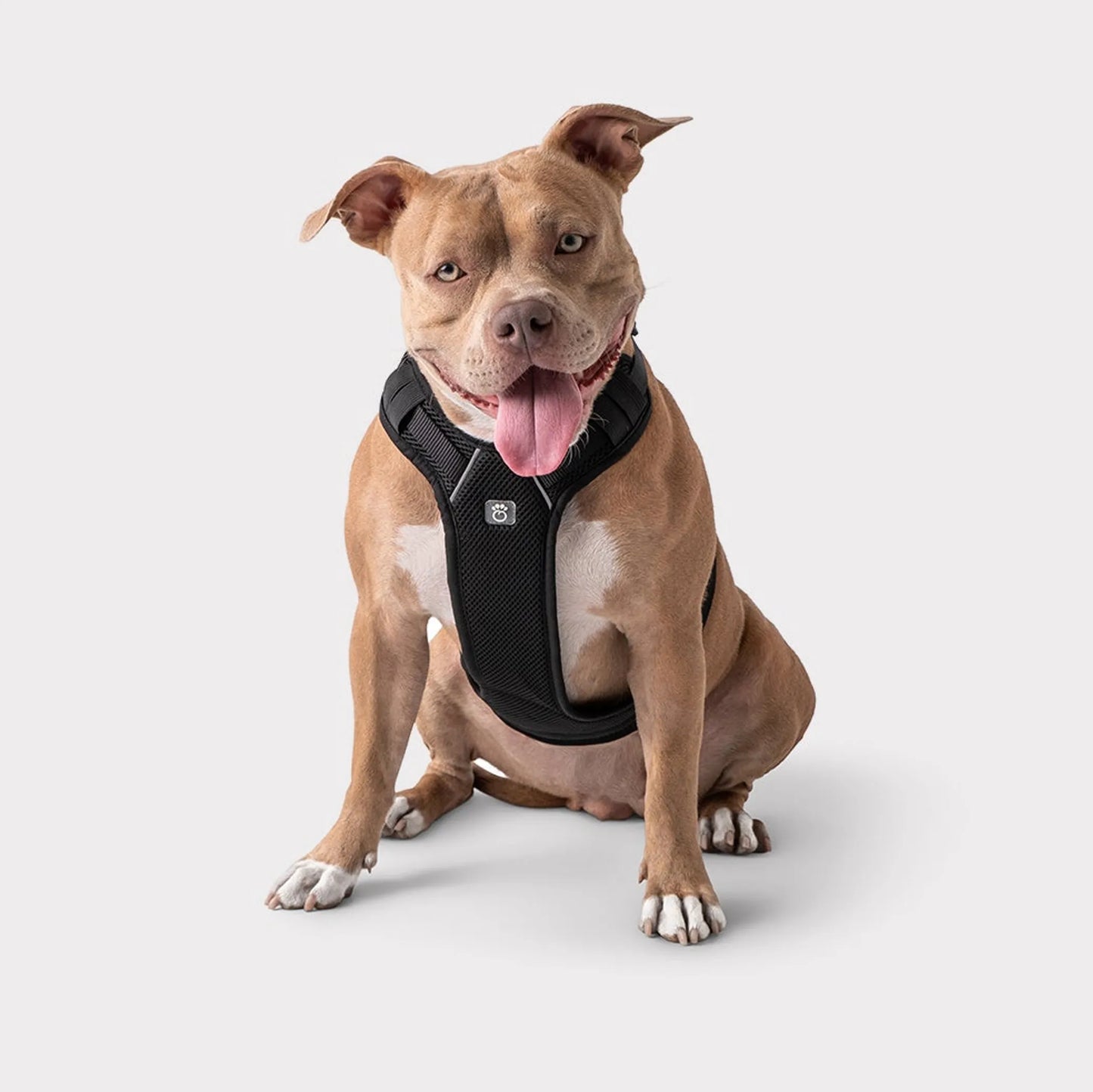 Pet Travel Harness
