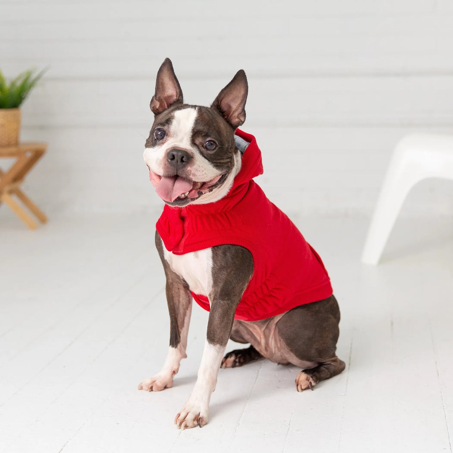 Elasto-Fit Urban Dog Hoodie