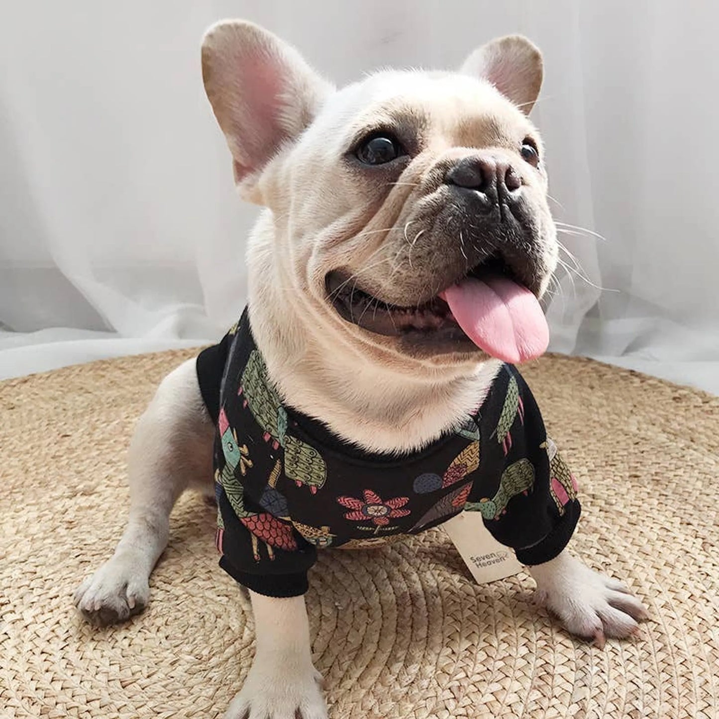 Matching Pet and Owner Clothing Set