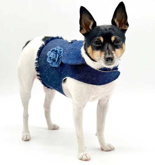 Harness Vest